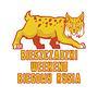 Bieszczadzki Bieg Rysia 2019