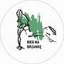 Bieg na Brzankę 2025