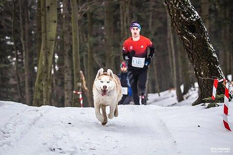 Krzysztof během Pogórzański Bieg Górski - Zima 2024