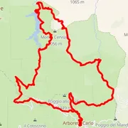 Mapa trati