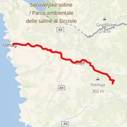 Mapa trati