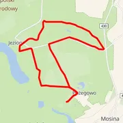 Mapa trati
