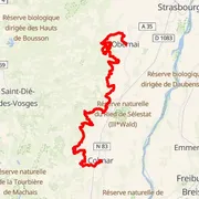 Mapa trati