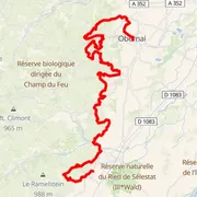 Mapa trati