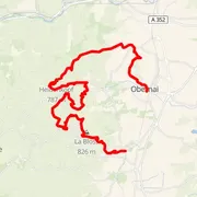 Mapa trati
