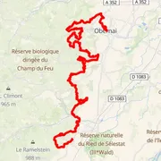 Mapa trati