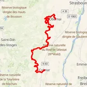Mapa trati