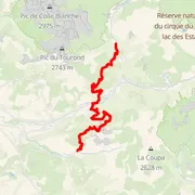 Mapa trati