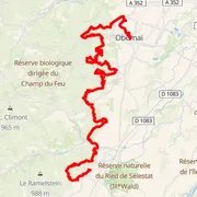 Mapa trati