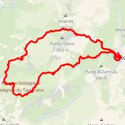 Mapa trati