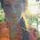 Fotka