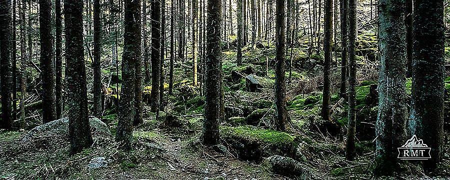 Październik 310k 2024